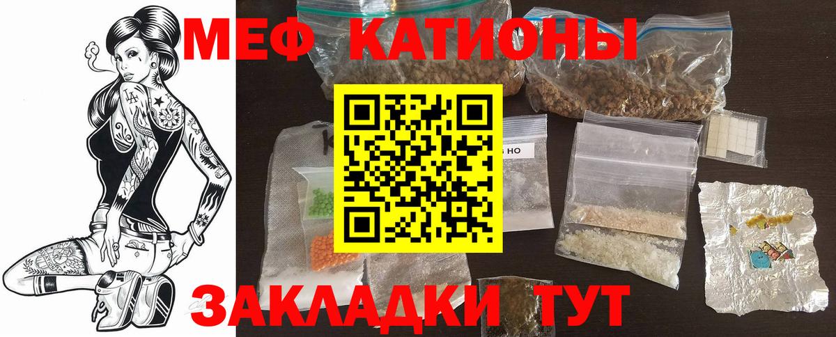 МЕФ  Дмитров