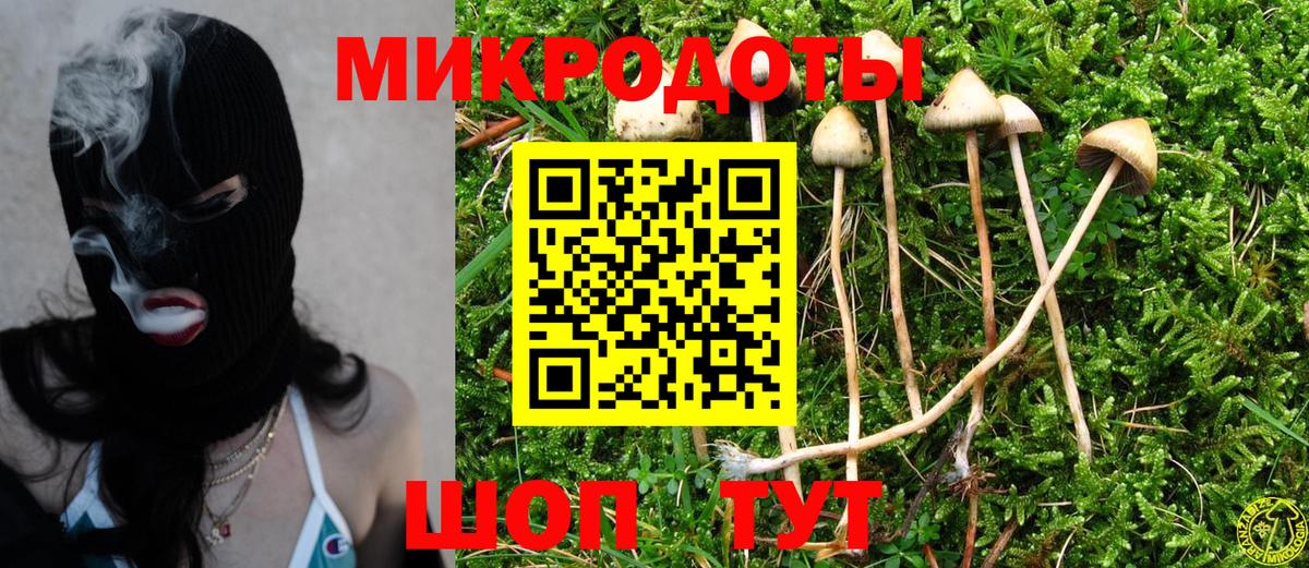 Галлюциногенные грибы GOLDEN TEACHER Дмитров