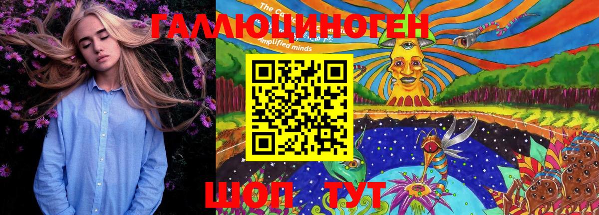 Дмитров  Галлюциногенные грибы GOLDEN TEACHER  купить наркотик  Вход с VPN 